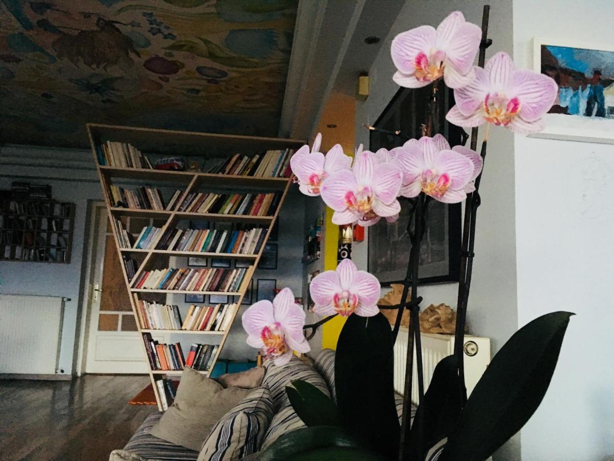 קסטוריה Guesthouse Vissinokipos - Biker Friendly - Motorradhotel מראה חיצוני תמונה
